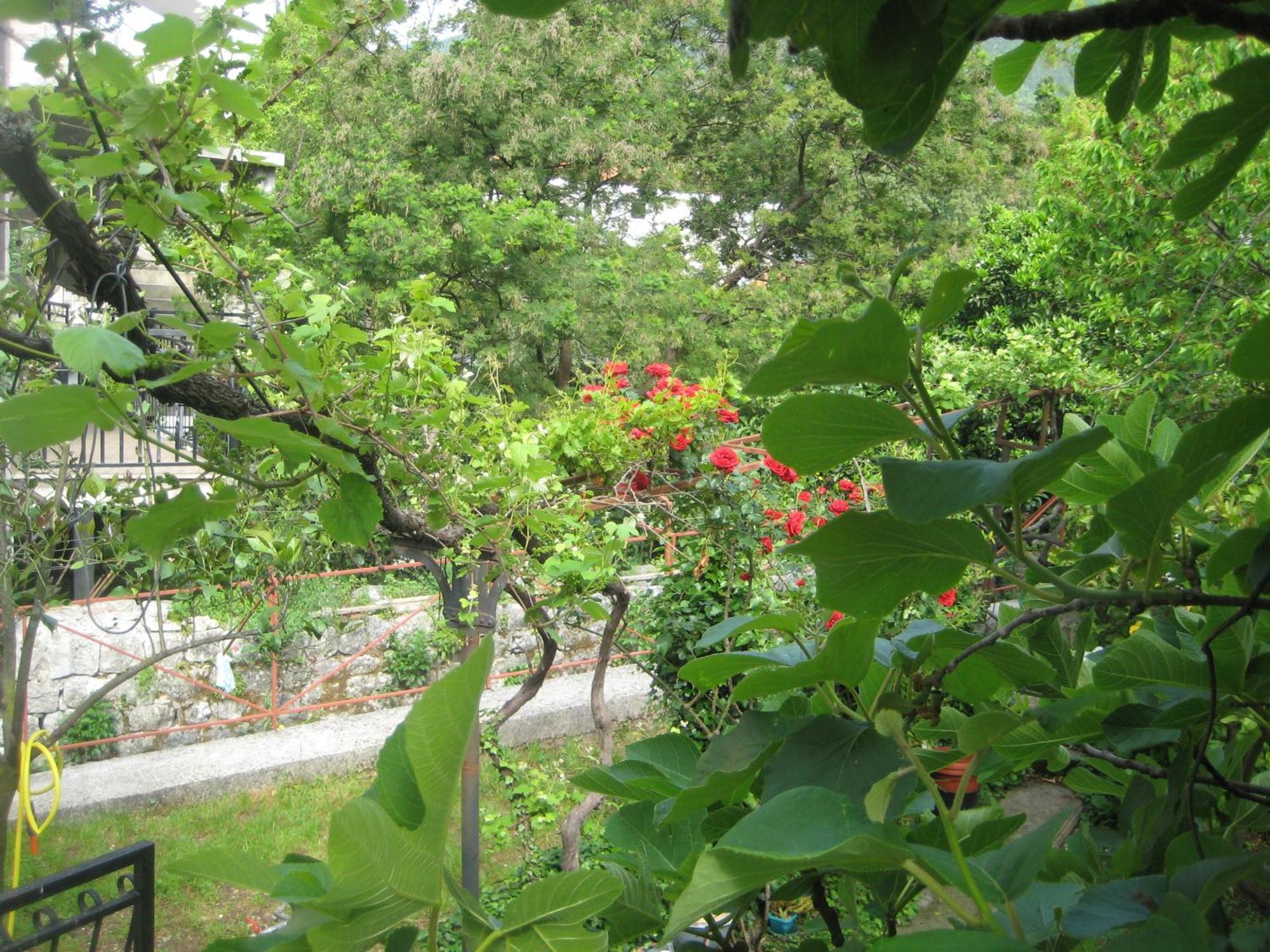 Apartments Colic Herceg Novi Eksteriør billede